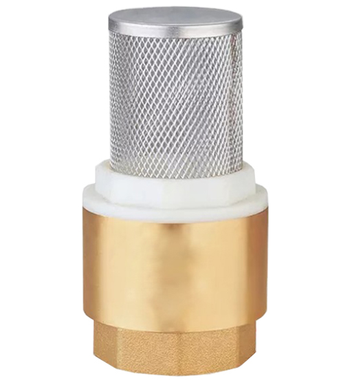 FOOT VALVE 3" BRASS WITH SS NET HMX