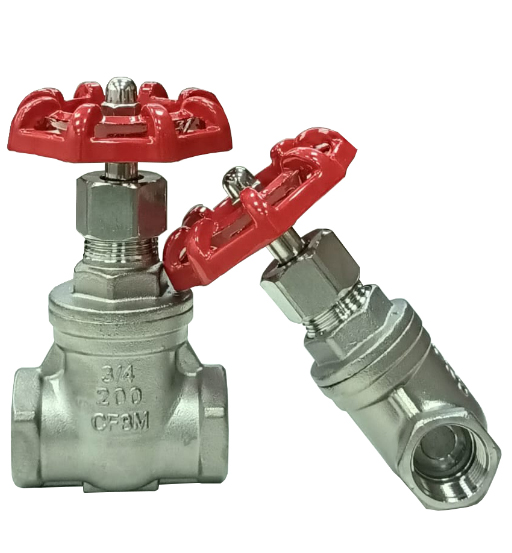 STAINLESS STEEL GATE VALVE 3/4" HMX